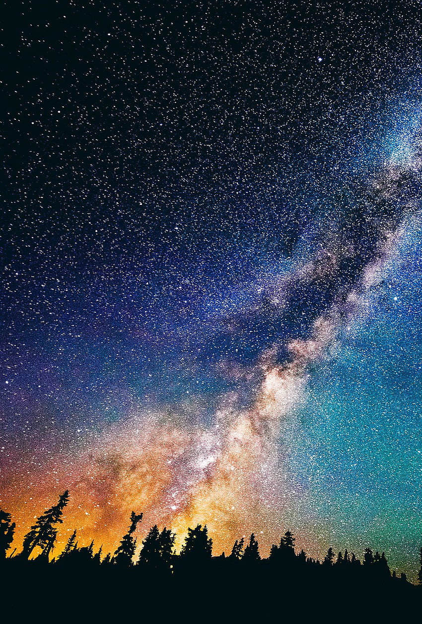Night Sky, Beautiful Starry Night Sky HD phone wallpaper