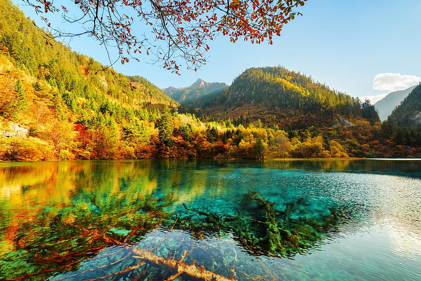 Lago no outono, colorido, outono, lindo, montanha, lago, esmeralda, reflexão, árvores, outono, floresta, lagoa papel de parede HD