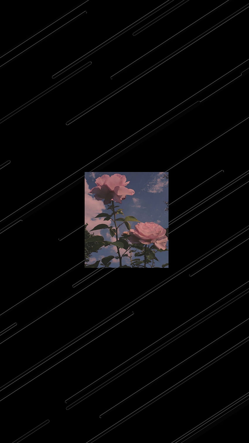 Retro, petal, umbrella HD phone wallpaper | Pxfuel