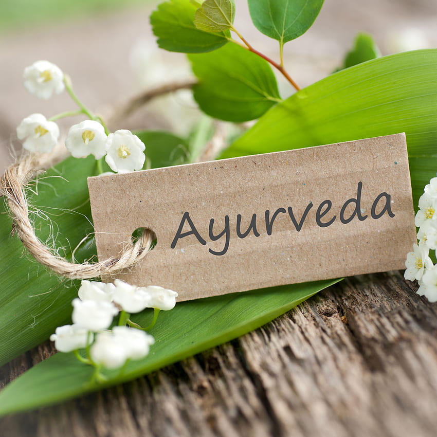 Daily Ayurveda in 5 Easy Steps!. Yoga, Ayurvada HD phone wallpaper