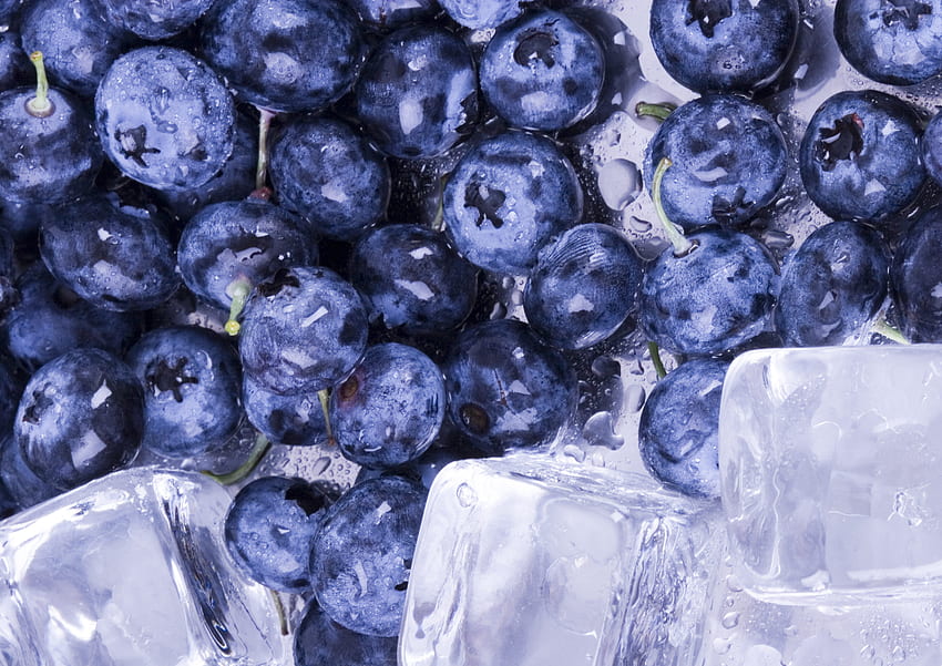 Water, Food, Ice, Bilberries, Berries HD wallpaper