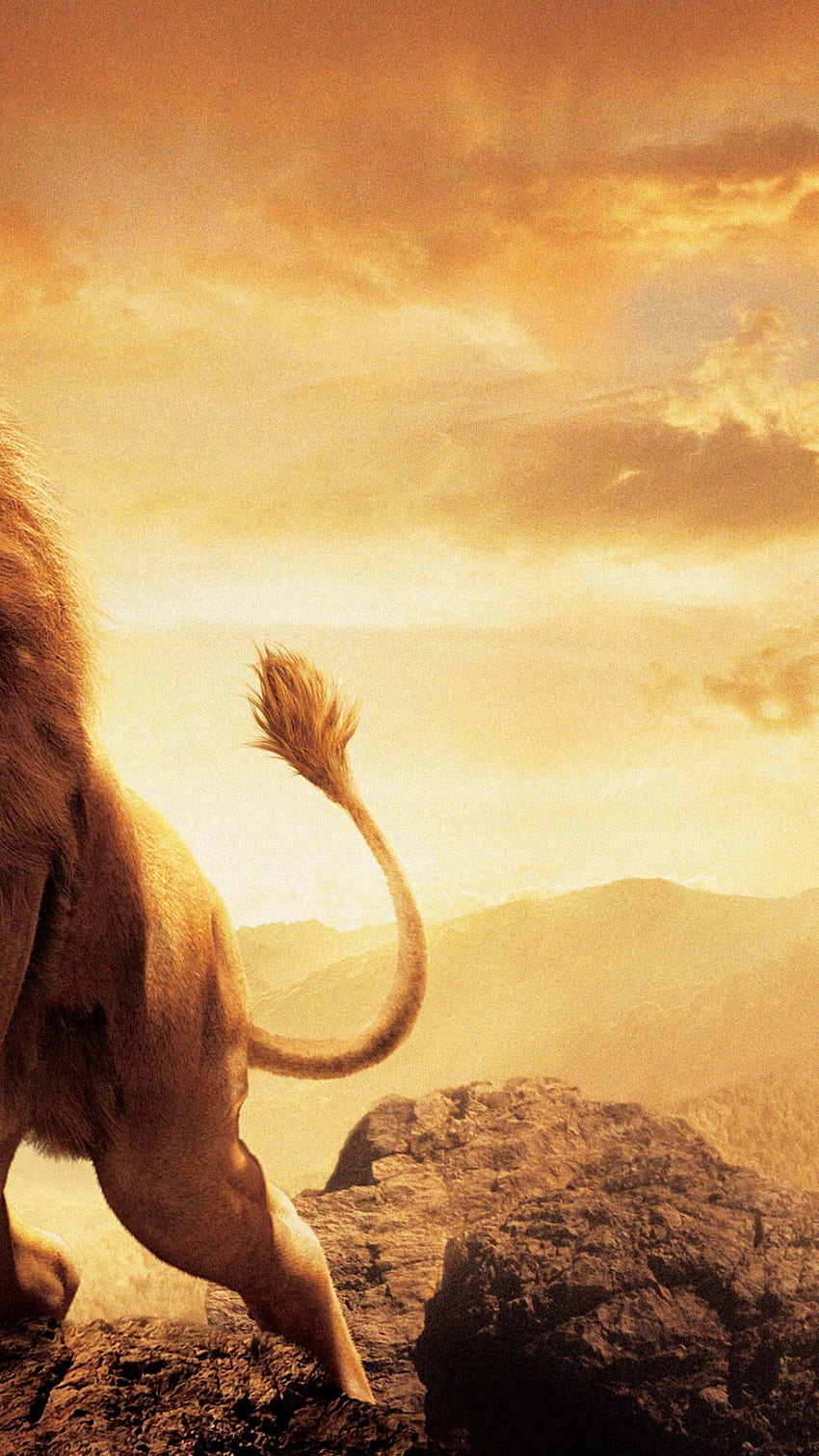 Narnia Lion Aslan Wallpapers Desktop Background