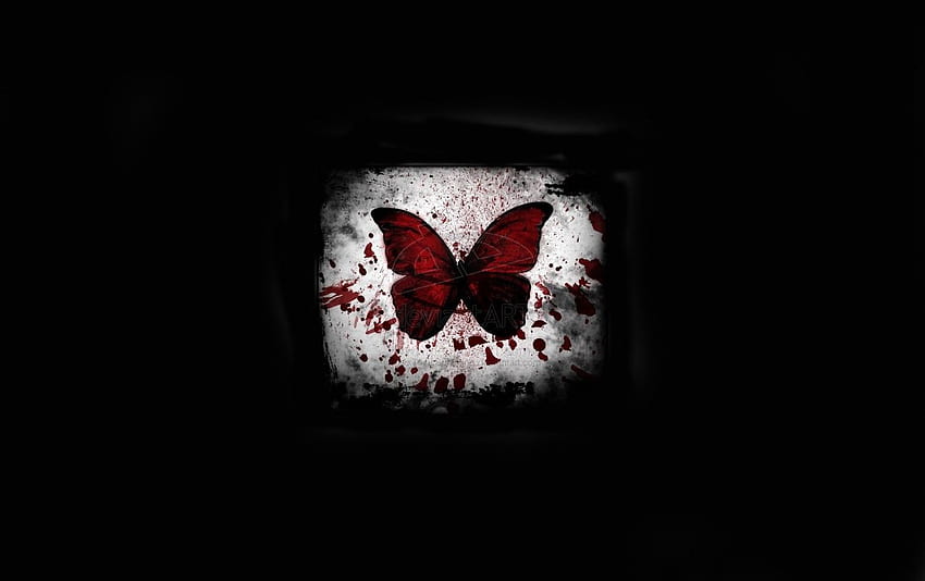 Red butterfly . Red butterfly stock HD wallpaper