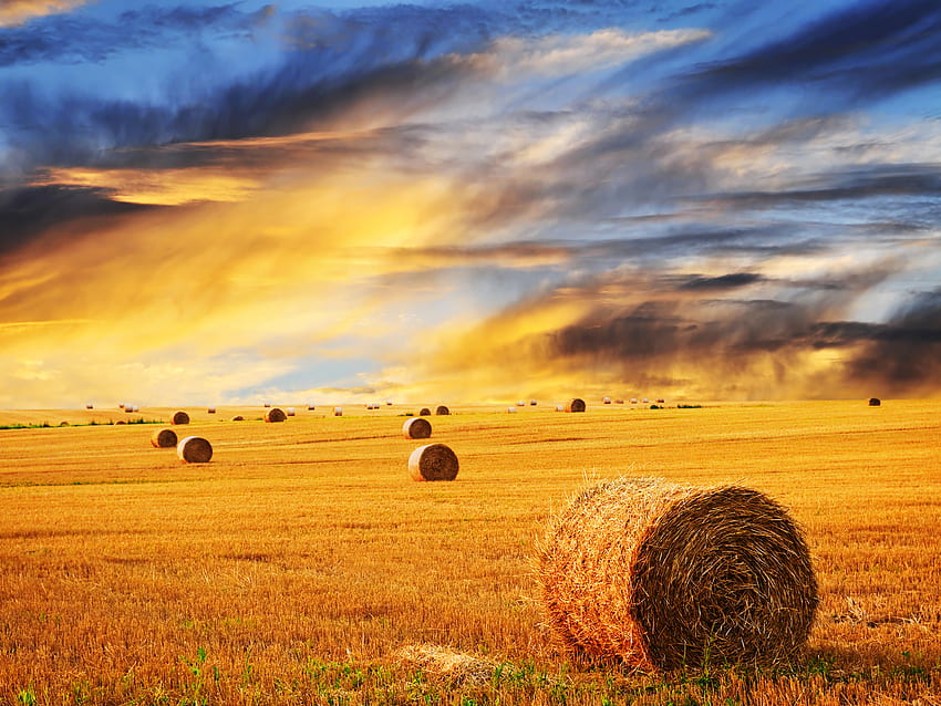 Download A Peaceful Farm Scene in the Middle of Nature  Wallpaperscom