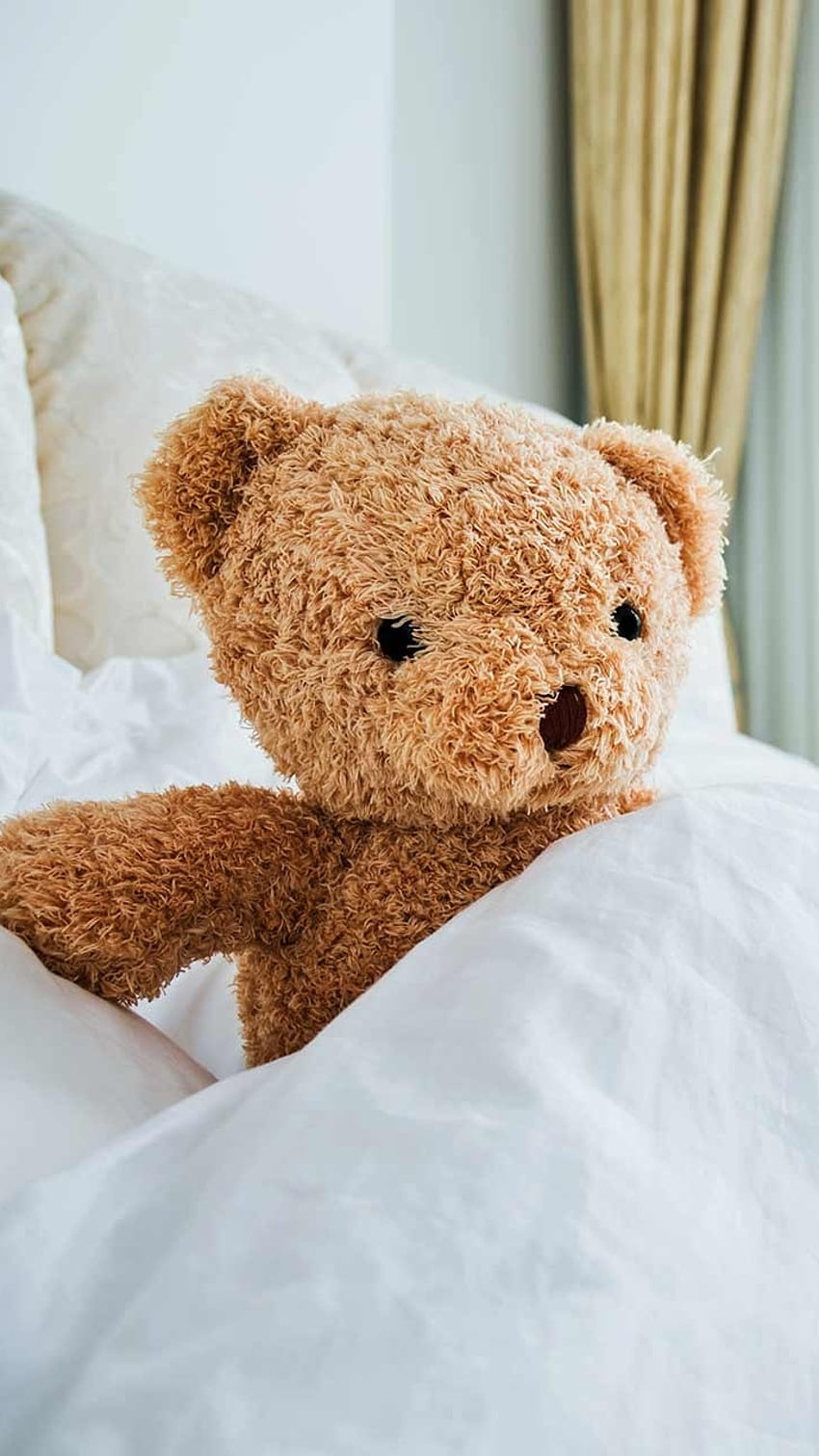 Beautiful Teddy Bear, Good Morning, bed, background HD phone wallpaper