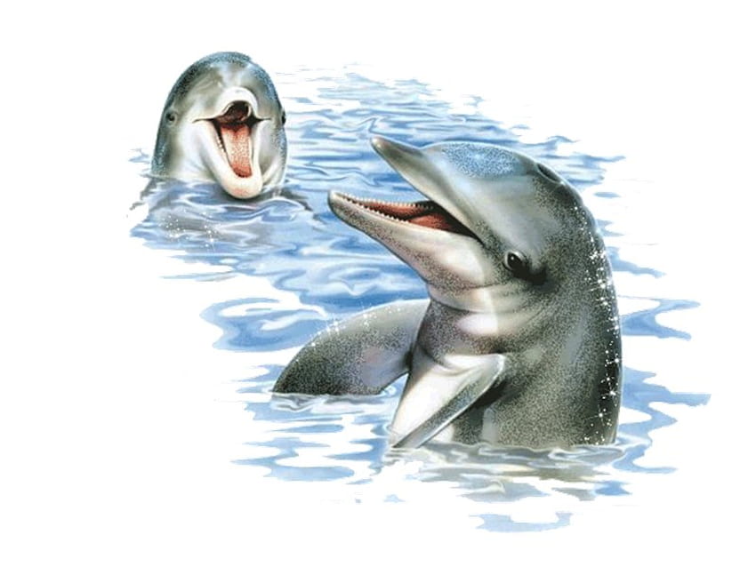 돌고래, 동물, 생활, 귀여운, 물고기, 돌고래 HD 월페이퍼