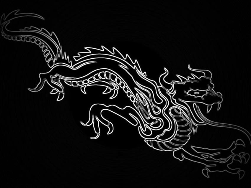 Дракон, животно, късче, схематично, черно HD тапет