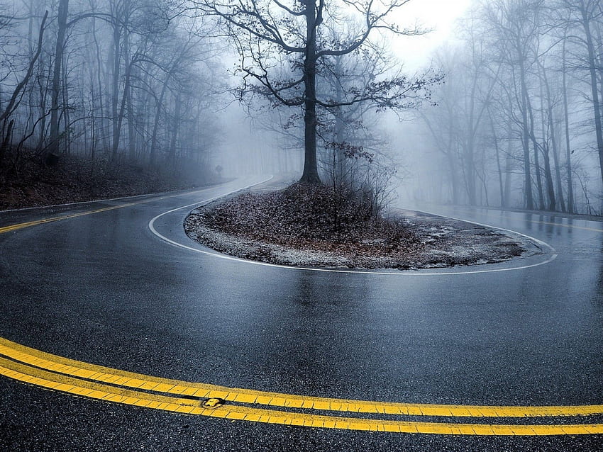 Droga, deszcz, ciemny las, mgła dla Ainol Novo 9 Spark Tapeta HD