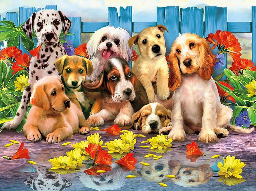 Cachorros, perro, arte, lindo, verano, cachorro, reflejo, agua, caine, vara fondo de pantalla