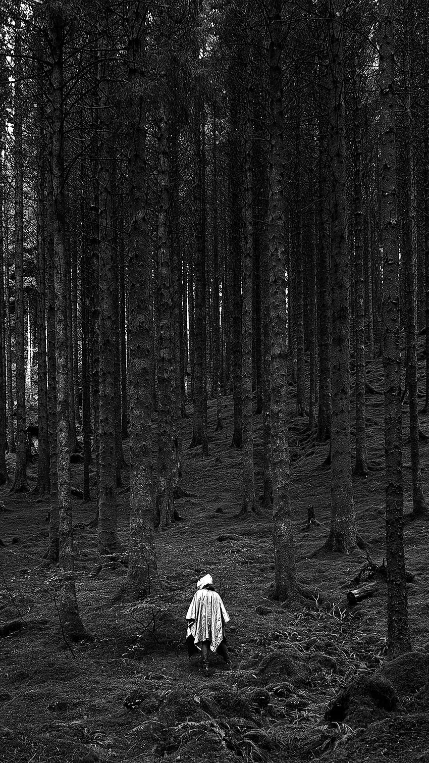 In Wood Forest Mountain Nature Dark Bw, Black and White Woods HD phone wallpaper