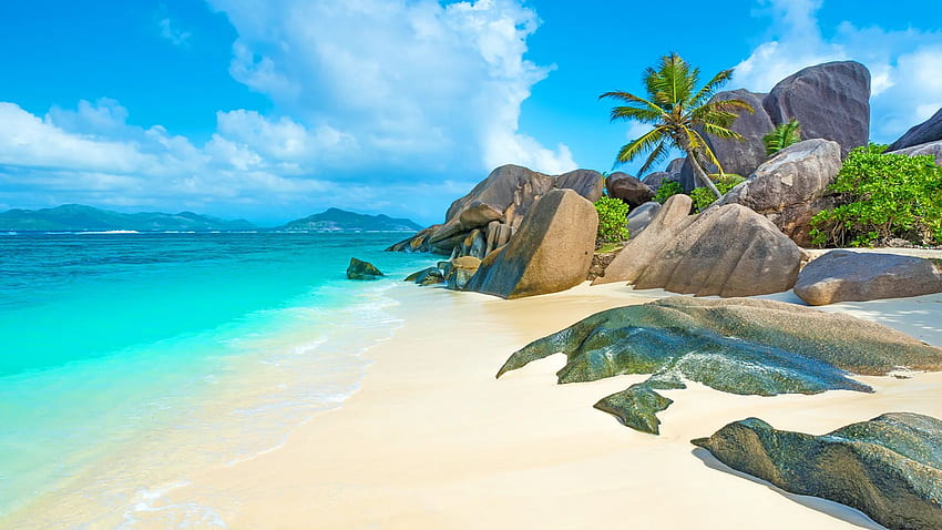 La Digue Island, Seychelles, sea, palm tree, clouds, sky, rocks HD wallpaper
