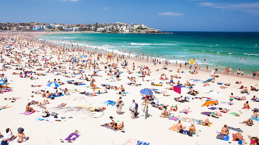 Sydney's Bondi Beach considers privatizing HD wallpaper