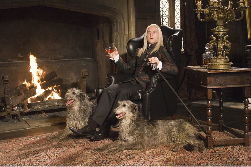 dogs harry potter fireplace jason isaacs lucius malfoy death HD wallpaper