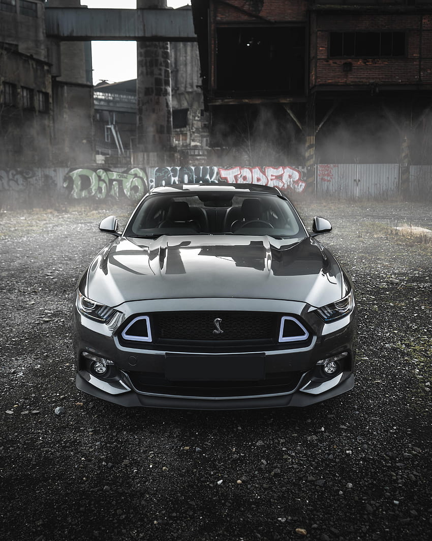 Carros/ Cars - Fondos De Pantalla De Mustang Shelby, Tumblr Car HD