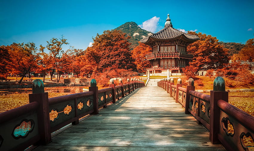 韓国と日本ツアー、韓国宮殿 高画質の壁紙