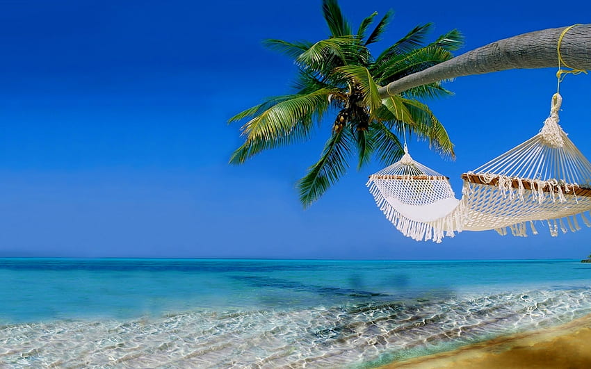 columpiarse en el azul, mar, palmera, hamaca, playa fondo de pantalla