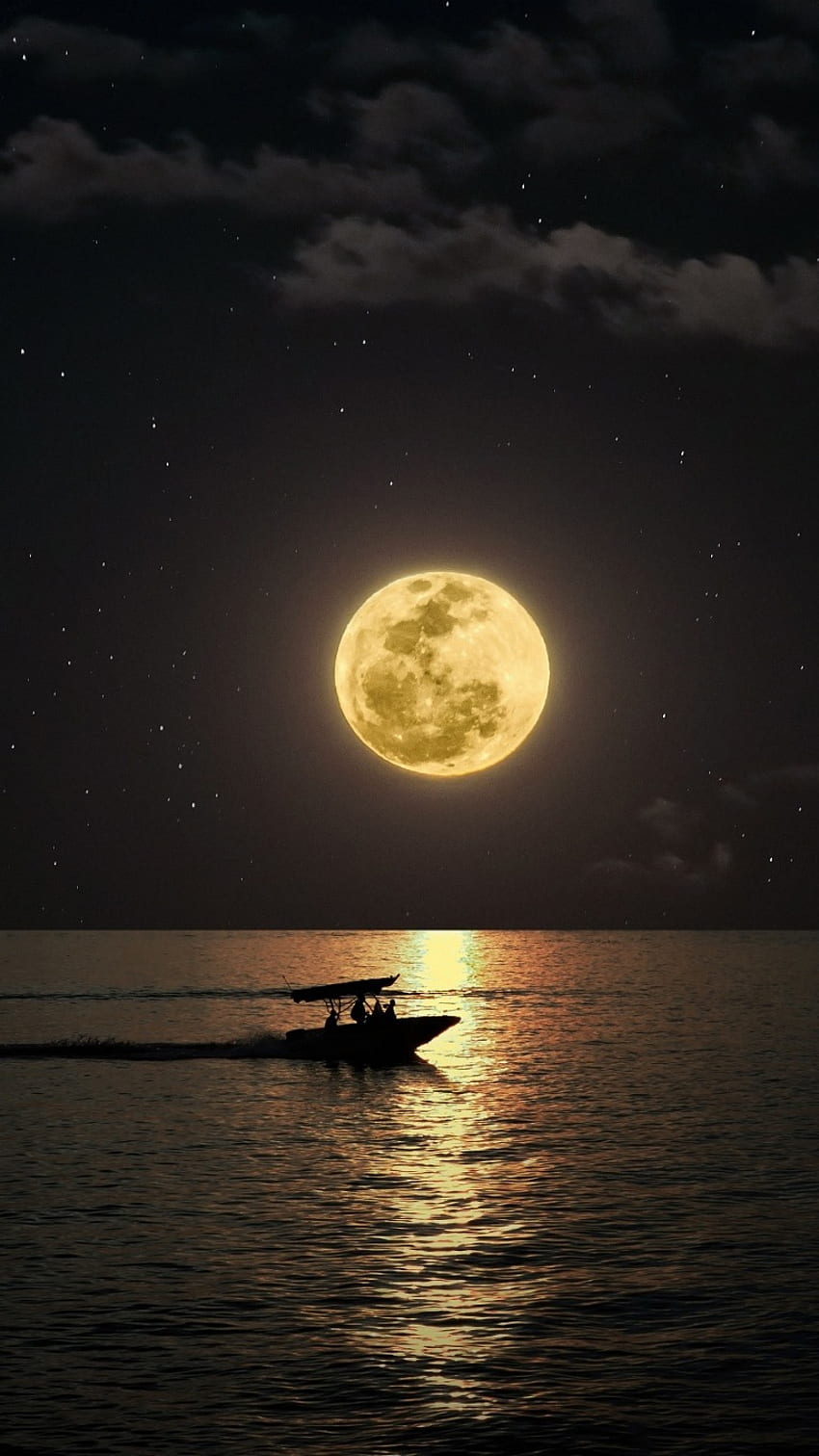 Luce della luna, luna del cielo notturno Sfondo del telefono HD