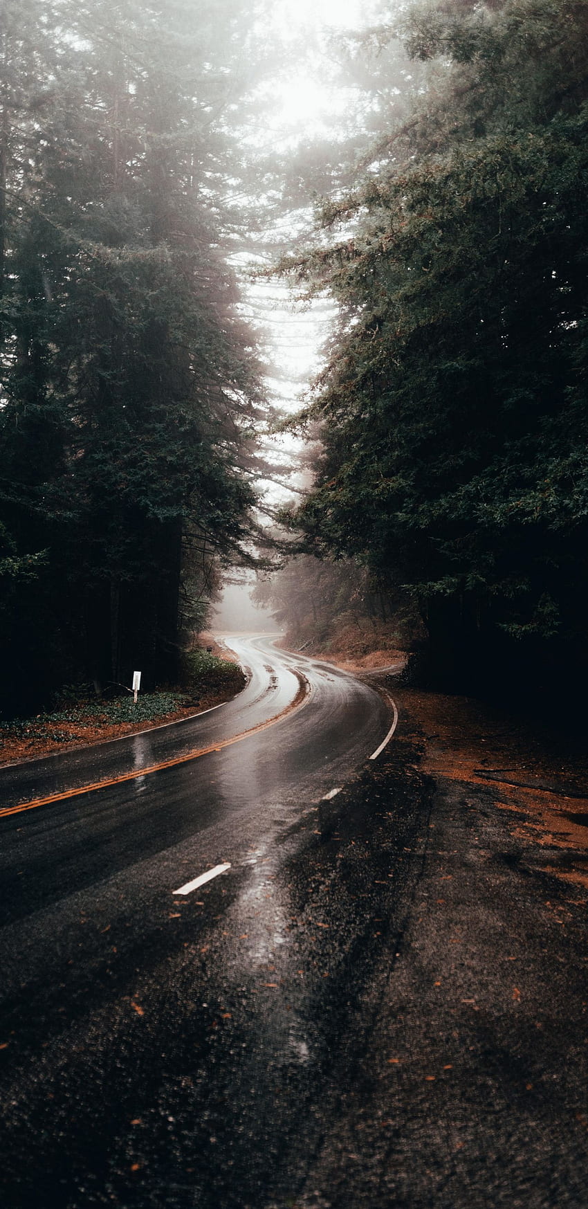 Zakręt na autostradzie, droga, deszcz, woda na drodze. Deszczowy dzień, deszczowy, deszczowy iPhone, deszczowa góra Tapeta na telefon HD