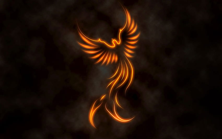Chay Roy pada ketukan tato. Tato Phoenix, desain tato Phoenix, tato bulu Phoenix, Mythical Phoenix Wallpaper HD