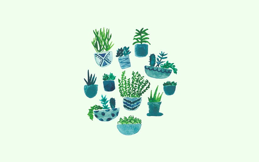 Cute Plant Computer, Cactus Aesthetic HD wallpaper