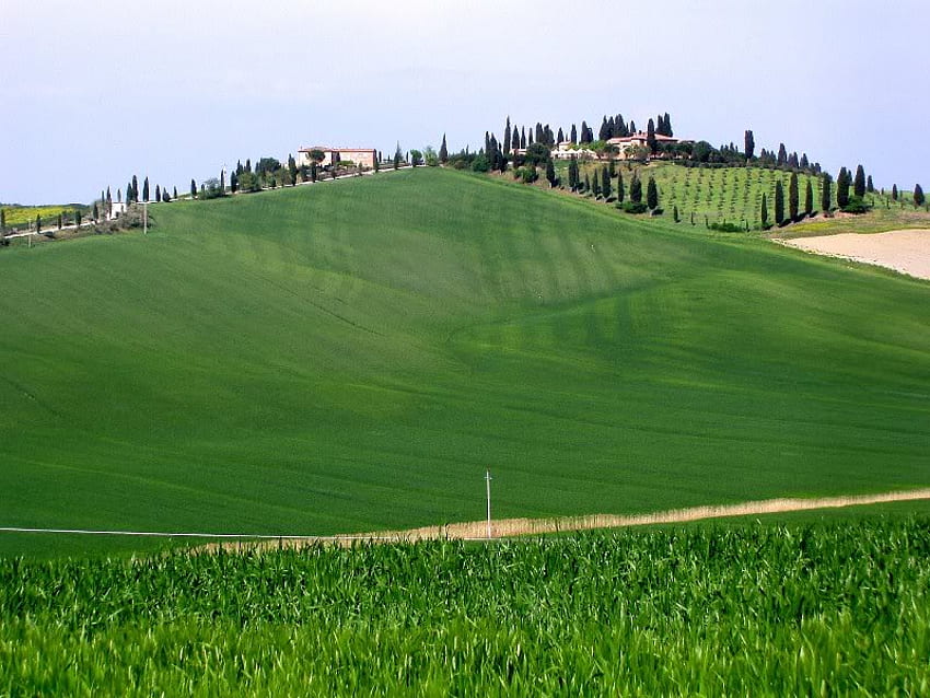 Tuscany Landscape, landscape, grass, sky, field HD wallpaper