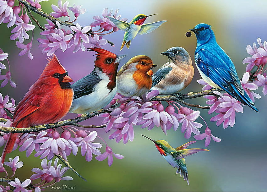 Oiseaux sur une branche fleurie, œuvres d'art, fleurs, pinson, cardinal, peinture Fond d'écran HD
