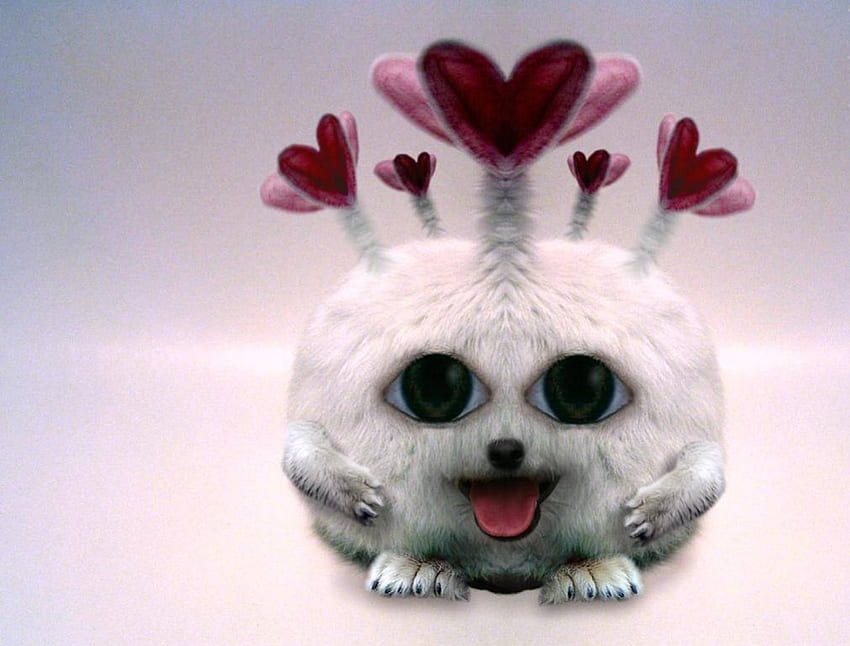 Heart of a cutie, love, hearts, face, cute, creature HD wallpaper