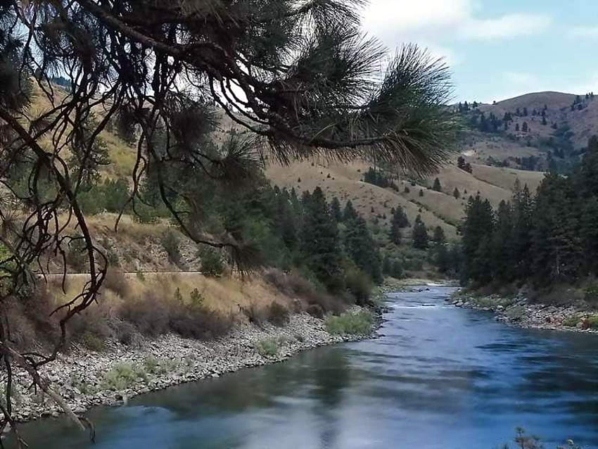 Río calmante, bosques, naturaleza, montañas, ríos. fondo de pantalla