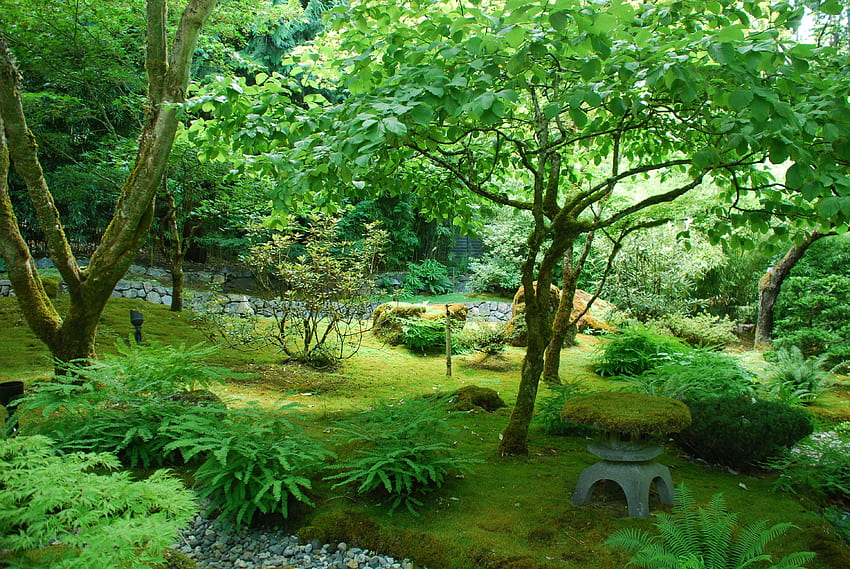 Tranquillo giardino giapponese: viaggi e scorte, foresta giapponese Sfondo HD