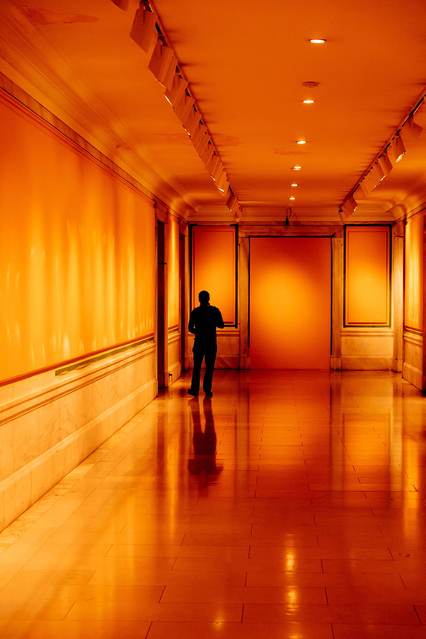 Silhouette, , , Corridor, Room, Premises, Human, Person HD phone wallpaper