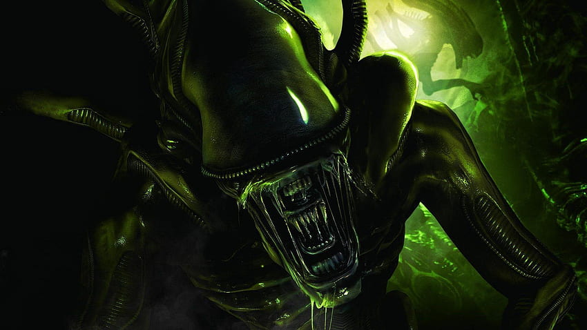 Alien, Cool Green Alien HD wallpaper