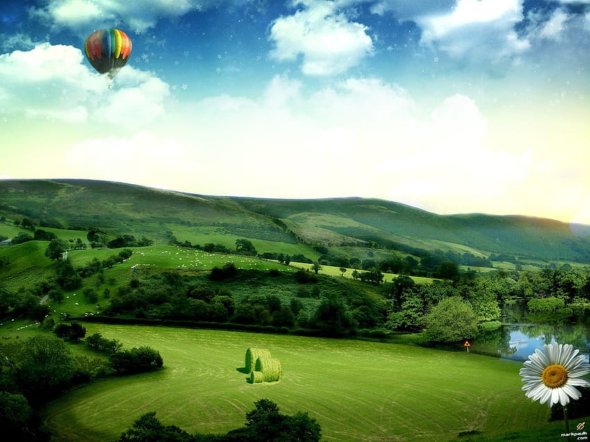Balon nad zielonym polem, pole, natura, trawa, balon, drzewo Tapeta HD