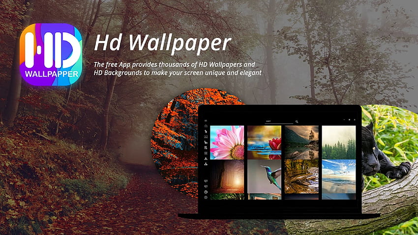 Buy Pro Live Studio 10 : Unlimited Video & Live Walllpapers, Windows 10  Original HD wallpaper | Pxfuel