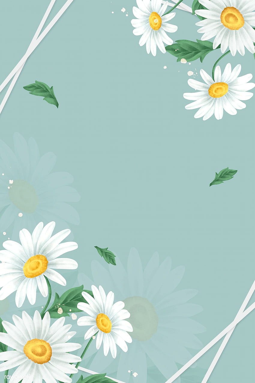 premium illustration of Daisy flower frame on light green. Mint green iphone, Flower background , Mint green HD phone wallpaper