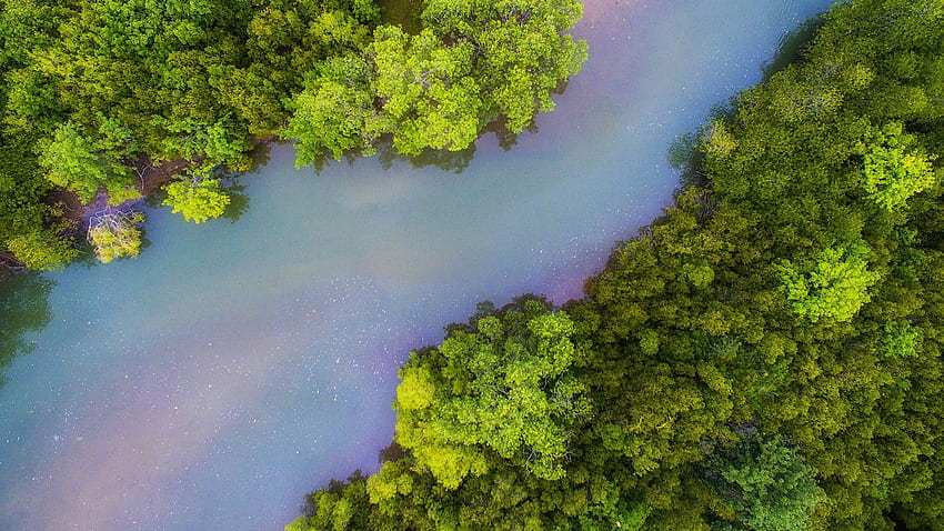 มุมมองทางอากาศของป่าชายเลนสีเขียวและแม่น้ำสีน้ำเงินแดงในปราณบุรี ประเทศไทย สปอตไลต์ Windows 10 วอลล์เปเปอร์ HD