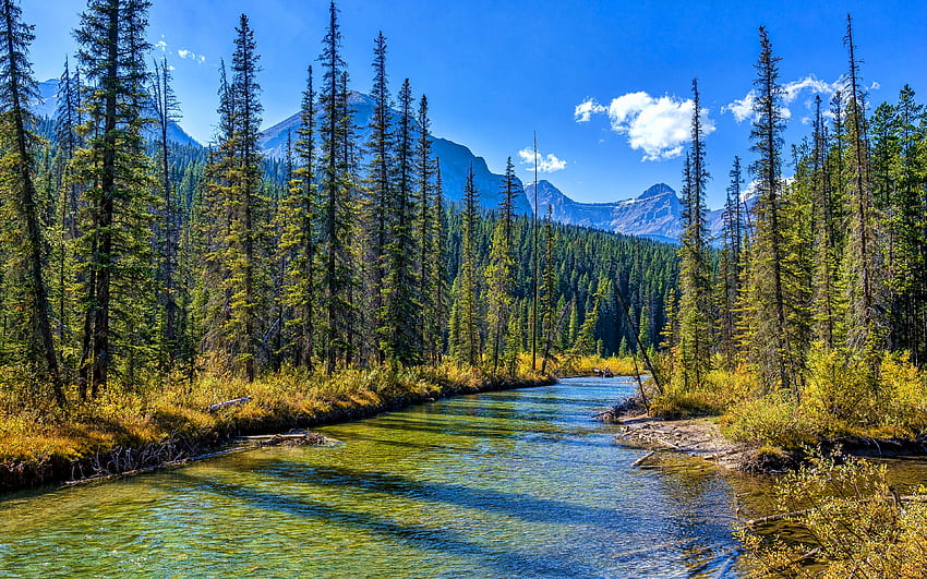 Jasper National Park, , R, estate, foresta, fiume, montagne, punti di riferimento canadesi, Canada, Alberta, Canadian Rockies Sfondo HD