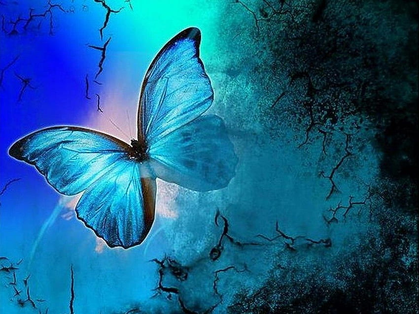 Cute Blue, Blue Butterfly Aesthetic HD wallpaper | Pxfuel