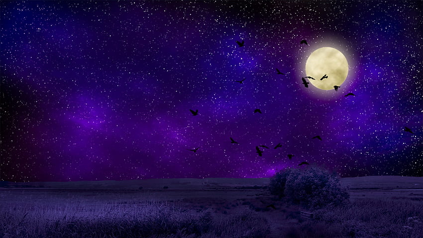 Luna piena nella notte viola. Sfondo HD