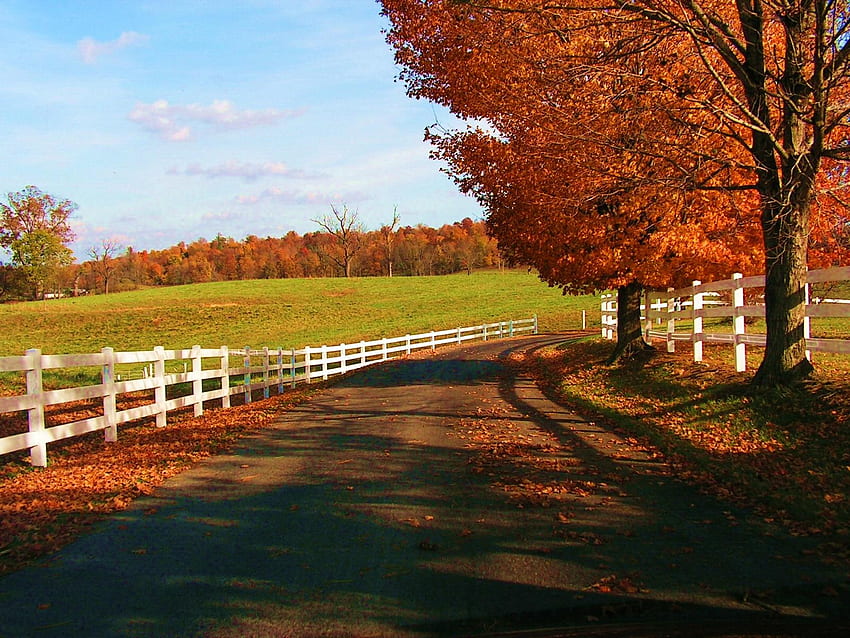 TAKE ME HOME COUNYTRY ROADS, gorgeous, view, beautiful, lovely HD wallpaper