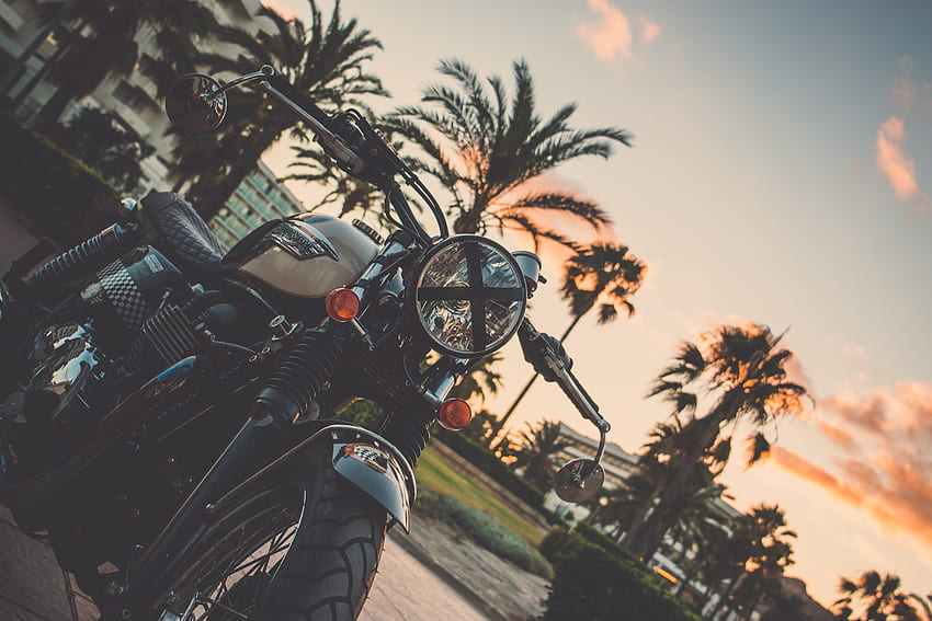 Motorcycles, Palm, Motorcycle, Bike HD wallpaper