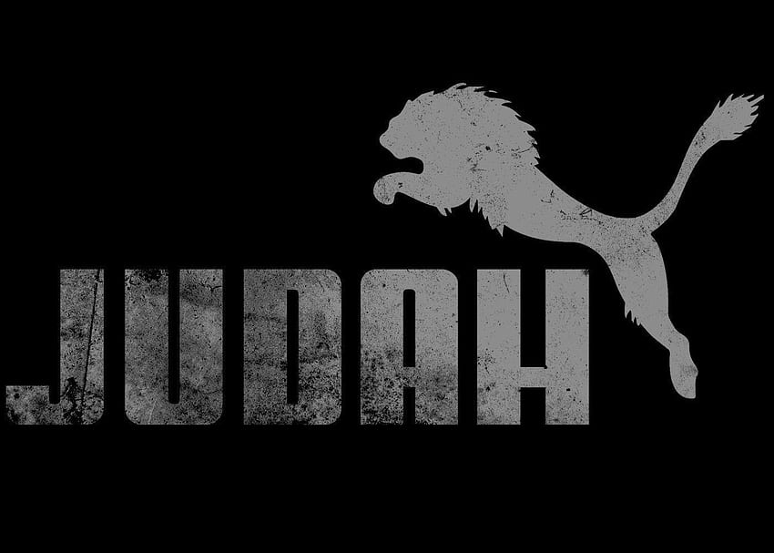 Yahweh . Yahweh, Lion of Judah HD wallpaper
