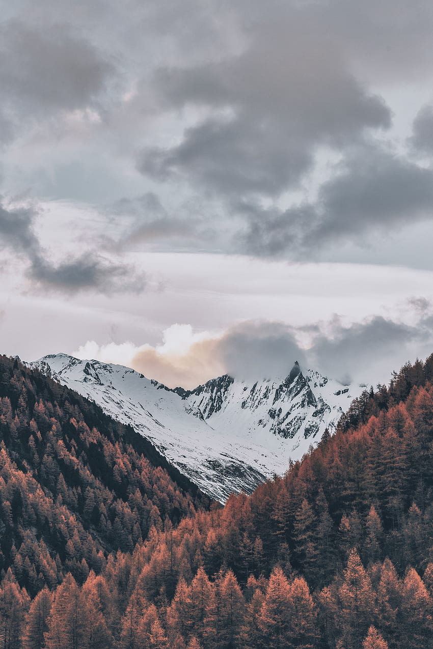 自然, 木, 空, 山, 雲, イタリア, 上からの眺め, 覆われた雪, 積雪 HD電話の壁紙