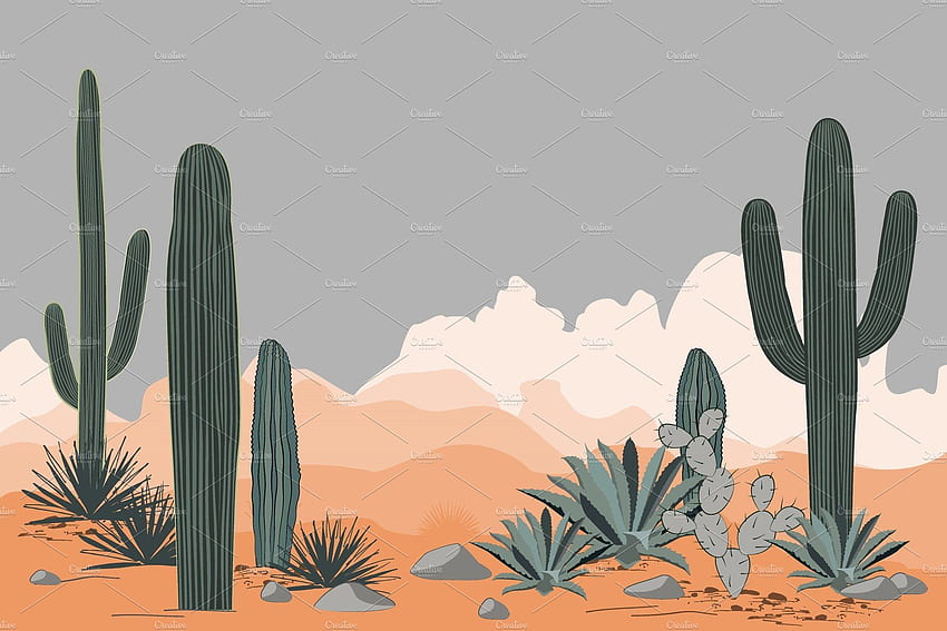 Aesthetically Pleasing Laptop Minimalist Cacti, Mexico Cactus HD wallpaper  | Pxfuel
