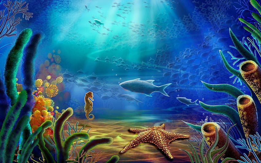 Poisson et hippocampe et étoile de mer, aquarium de dessin animé Fond d'écran HD