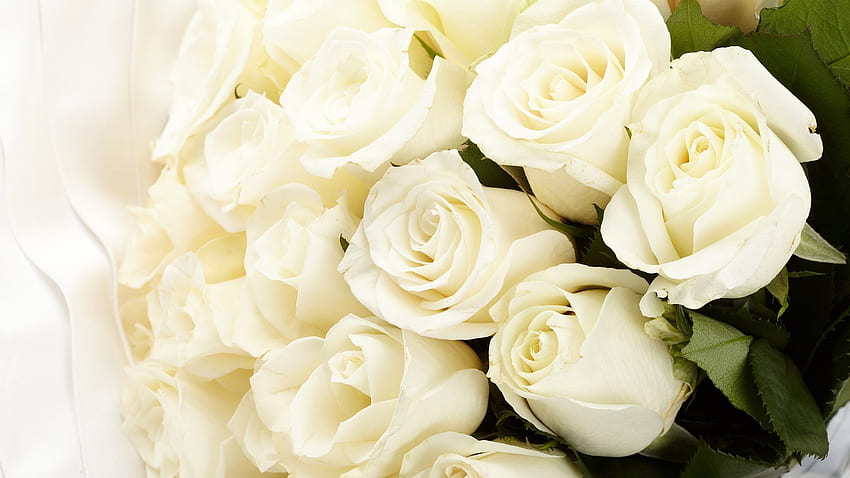 Flower Background For Funeral -, Funeral Flowers HD wallpaper