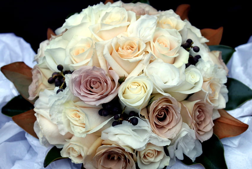 Fiori, rose, registrazione, tipografia, bouquet, bello, è bello Sfondo HD