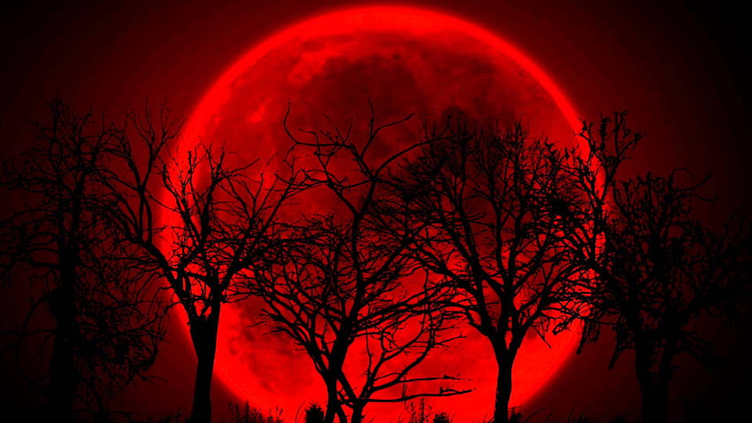 Червен фон на кървава луна и Mmon Red HD тапет