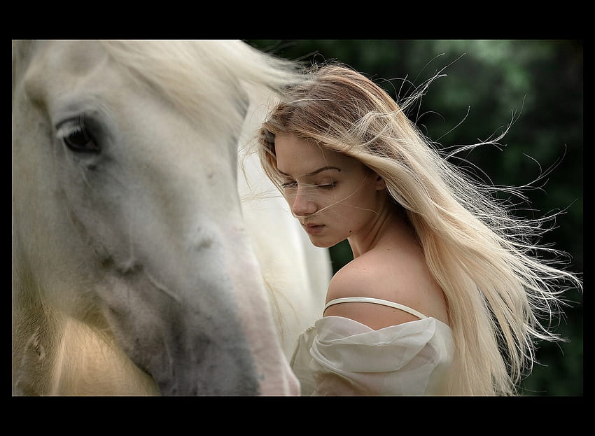 Dziewczyna z szarym koniem, blondynka, koń, biała sukienka, piękno Tapeta HD