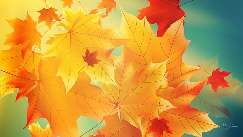 Слънце грее върху есенни листа, слънце, есен, злато, оранжево, листа, клен, светлина, ярко, есен HD тапет