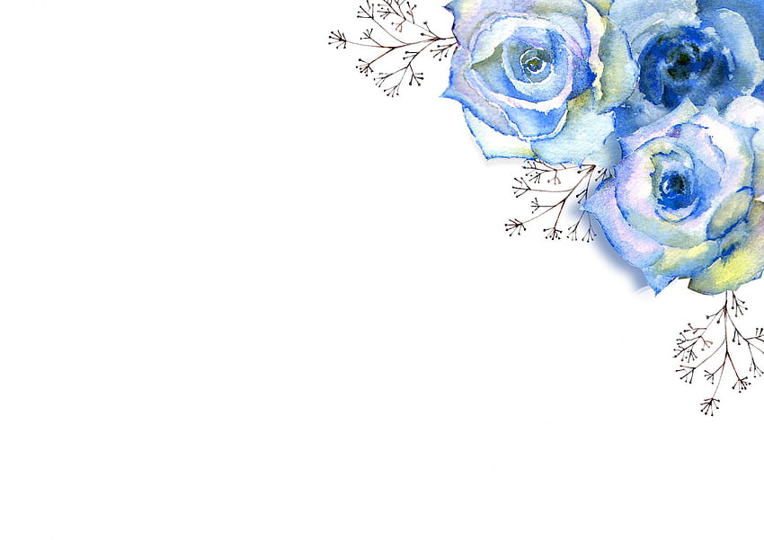 Premium . Bingkai dengan ilustrasi cat air bunga. mawar biru dengan latar belakang putih yang terisolasi. bunga cerah, daun, untuk alat tulis pernikahan, salam, , mode, latar belakang, tekstur, pengemasan, Perbatasan Bunga Biru Wallpaper HD
